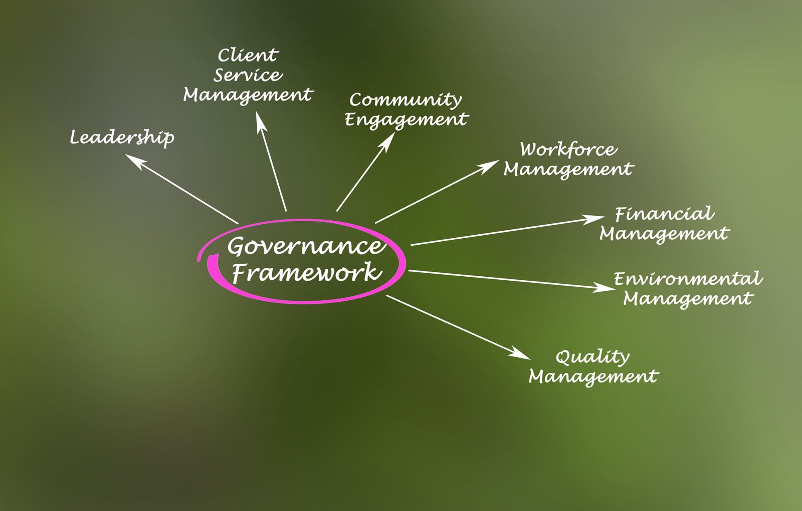 Governance framework diagram